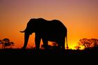 Is Namibia your next DXpedition?
